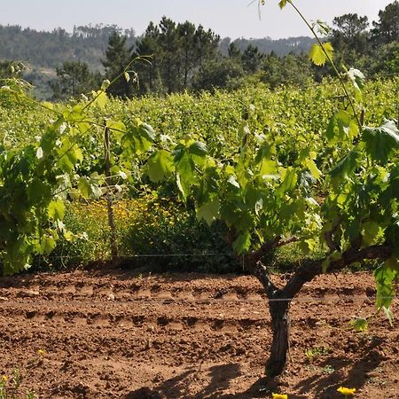 Quinta Da Serrana Оурен Экстерьер фото